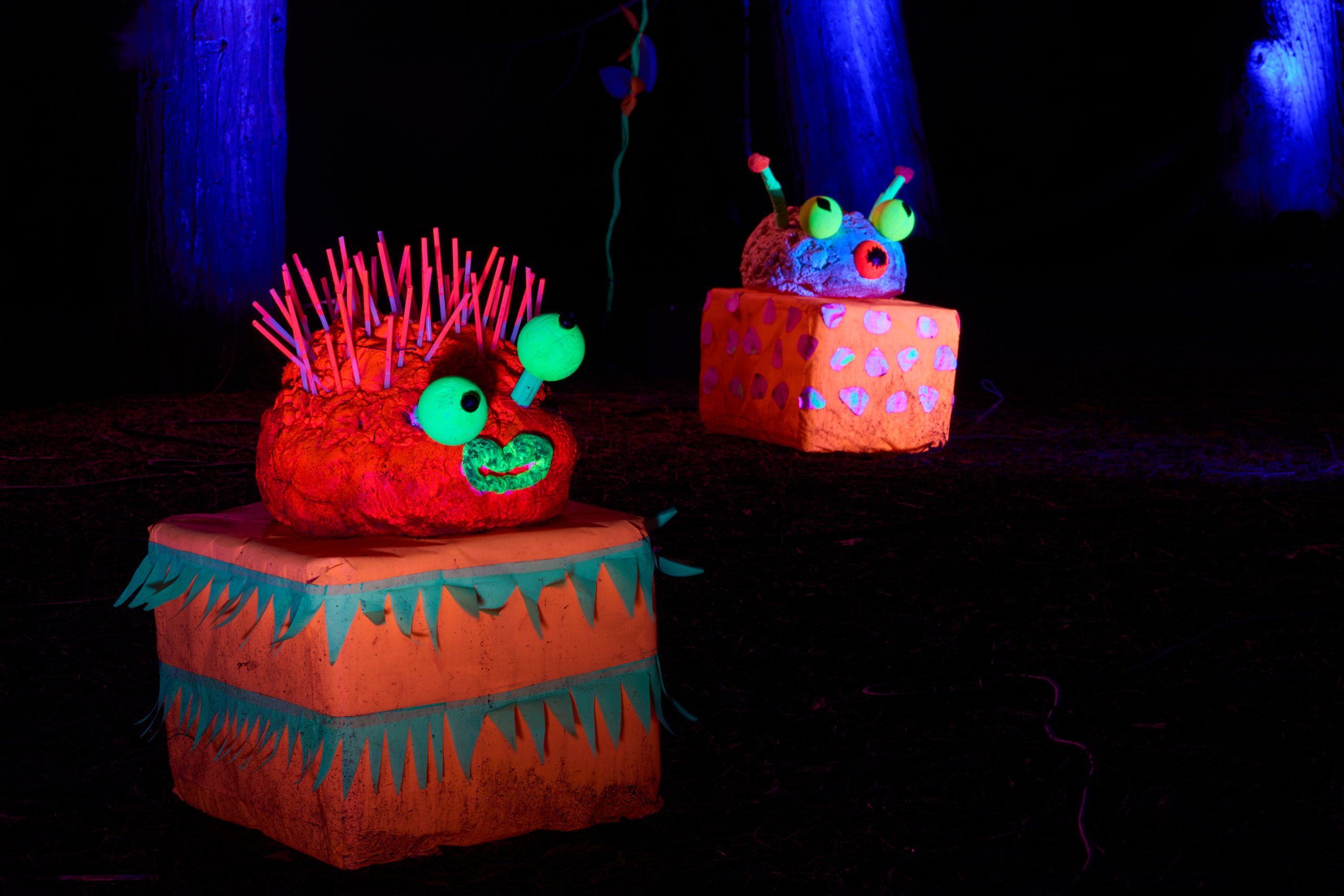 2025 02 04 Parkleuchten 0192